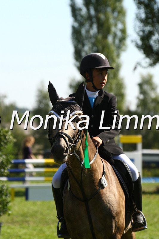 109M6929_Leonardo_Ponyspring E.JPG